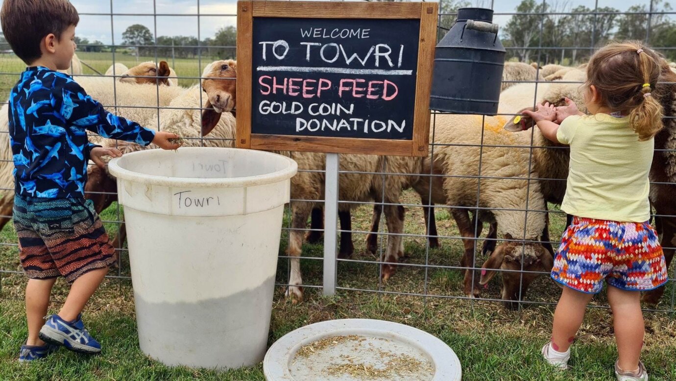 Keep the kids entertained for hours with endless sheep pats!