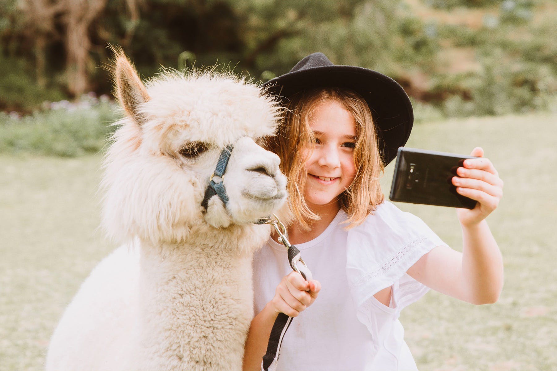 Mountview Alpaca Farm - Scenic Rim