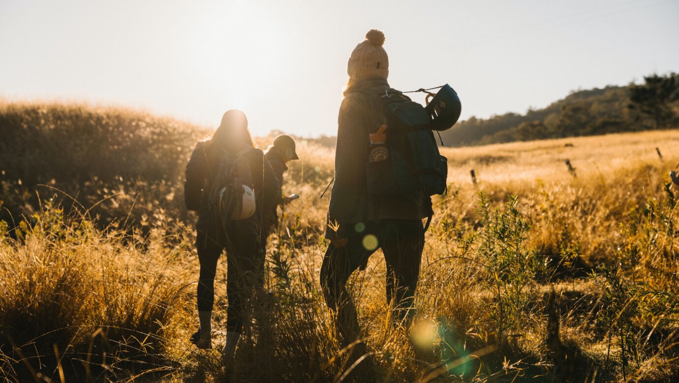 3 woman walk through a field of golden grass with backpacks on.
