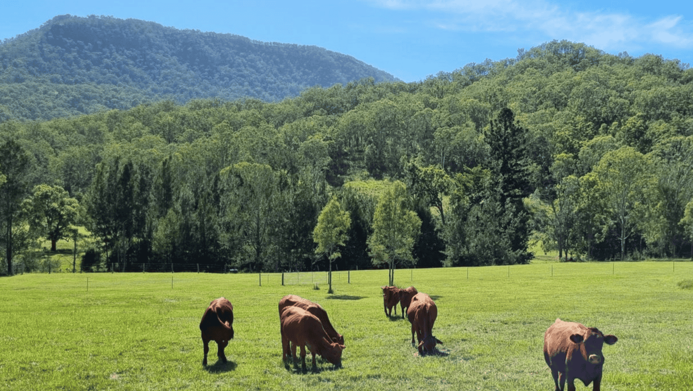 Christmas Creek Bush Retreat