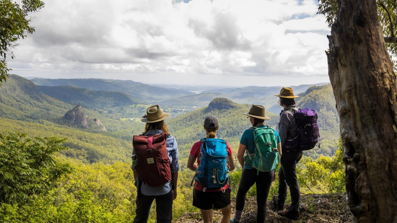 Four hikers with backpacks admire the view to the mountains and valley below