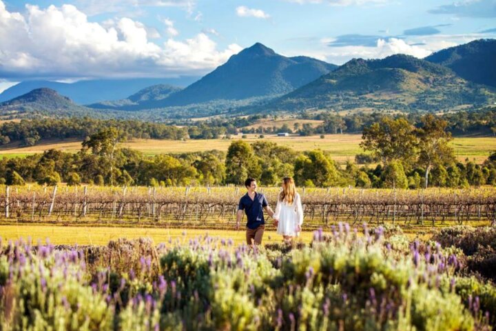 A couple walk through a lavender field with mountains behind