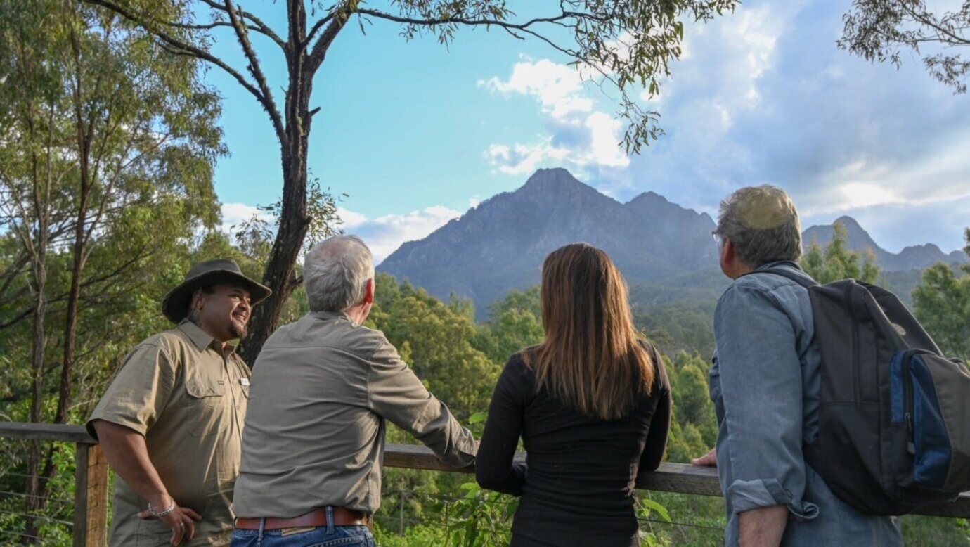 A tour guide and three visitors admire Mount Barney from a distance