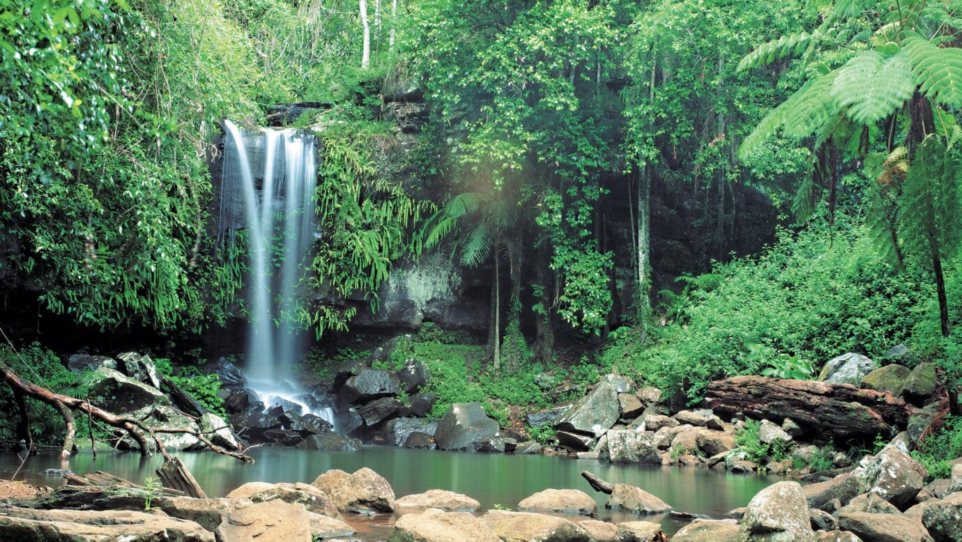 Waterfalls cascading into pool, Tamborine National Park