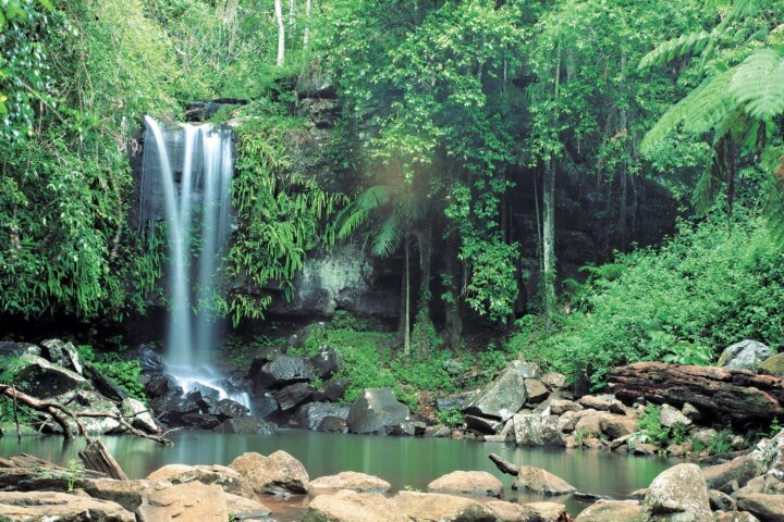 Waterfalls cascading into pool, Tamborine National Park