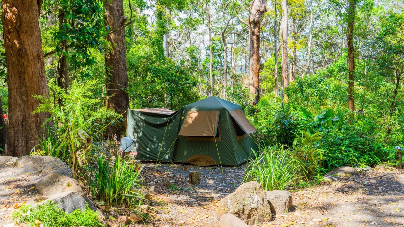 an image of a tent set up for camping at Binna Burra