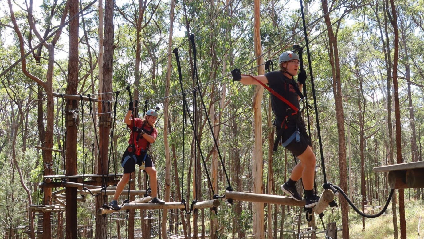 2 guests walking along a wobbly log bridge obstacle on the high-wire course