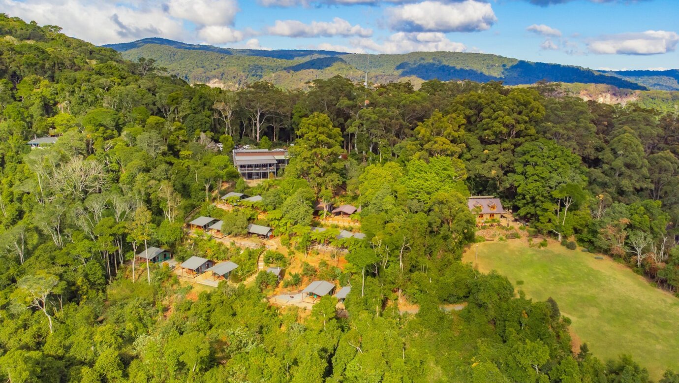 An aerial image of the Binna Burra Campsite, Safari Tents, Groom's Cottage and the Tea House cafe.