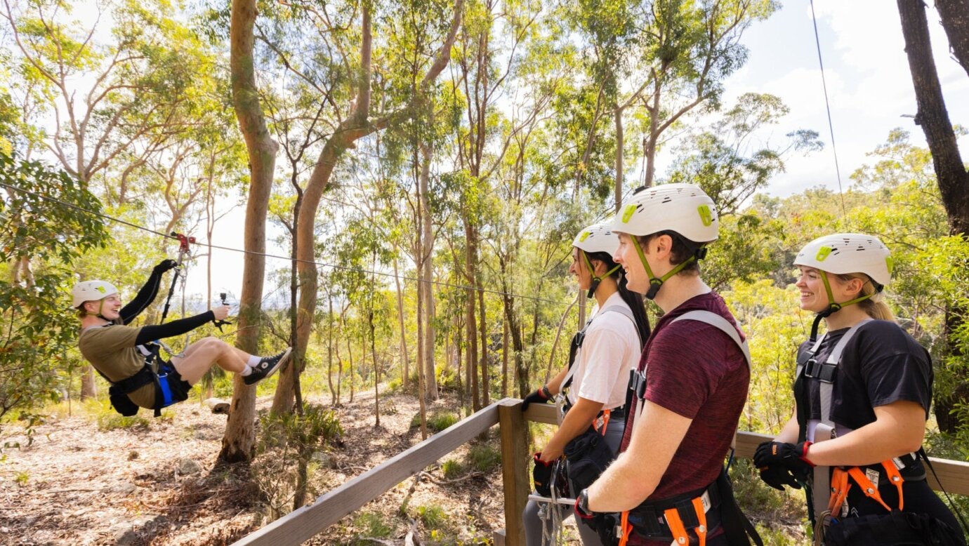 Guests watching a friend do a zipline