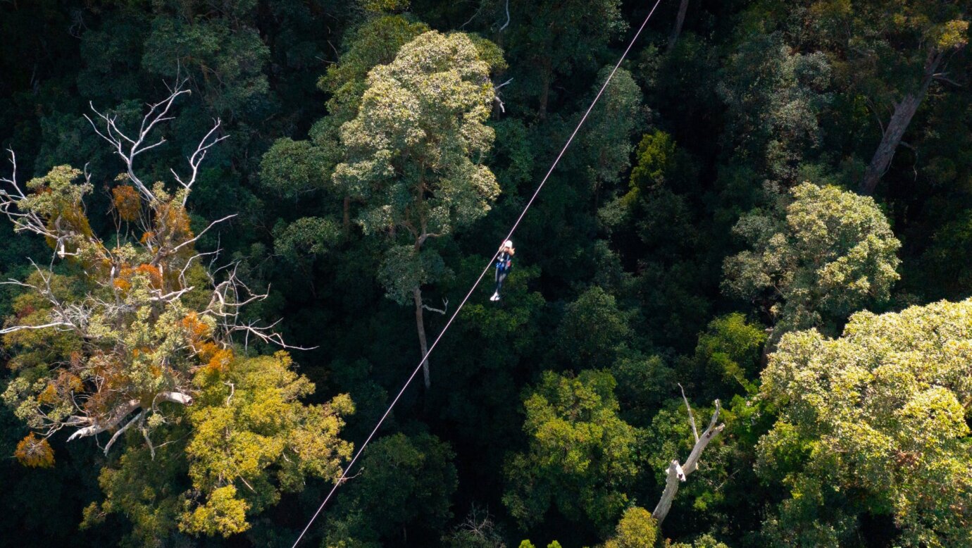 Birdseye view of zipline experience