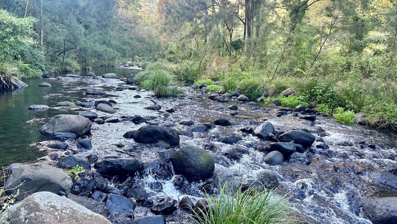 Christmas Creek is a permanently flowing creek