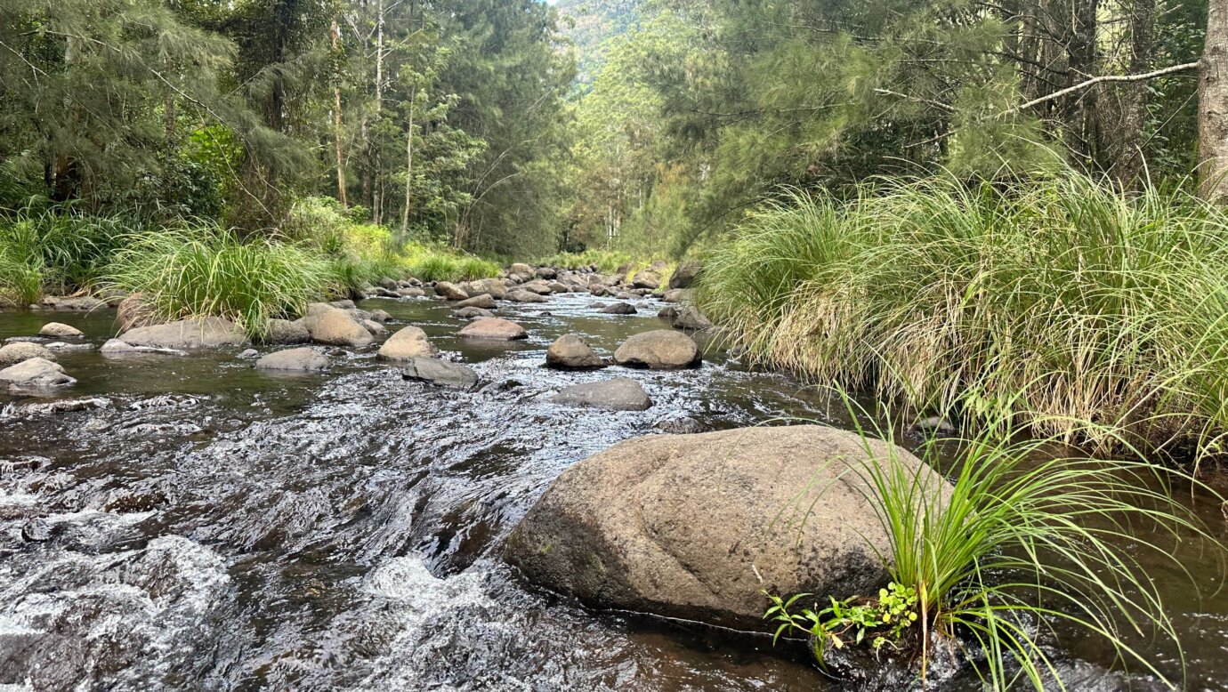 Christmas Creek flows the length of the property for 1.1 kms