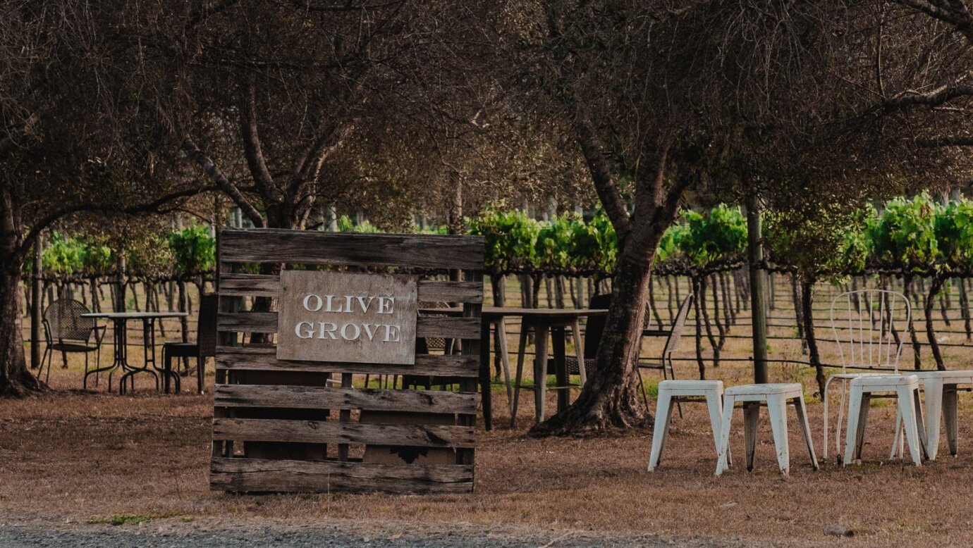The Olive Grove - Sarabah Estate Vineyard