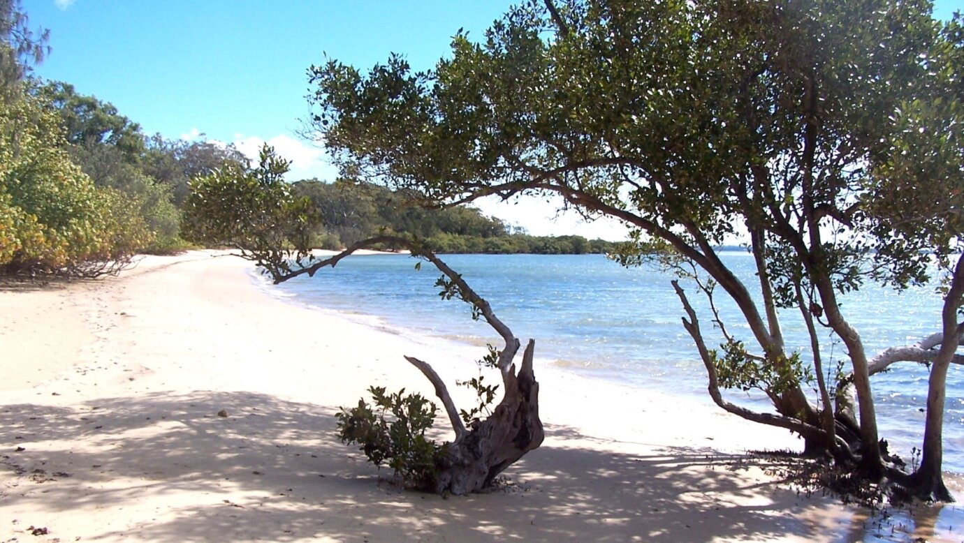 Beach on Coochiemudlo Island