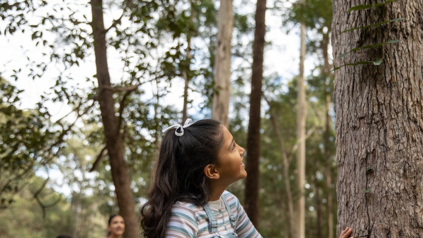 Plunkett Conservation Park & Wickham National Park