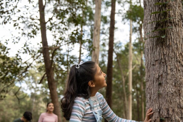 Plunkett Conservation Park & Wickham National Park