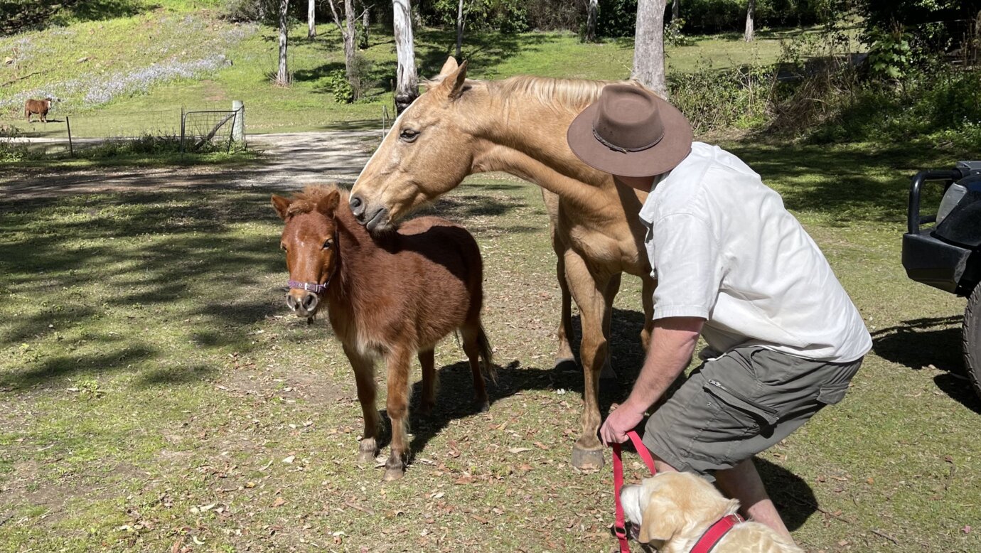 The friendly locals