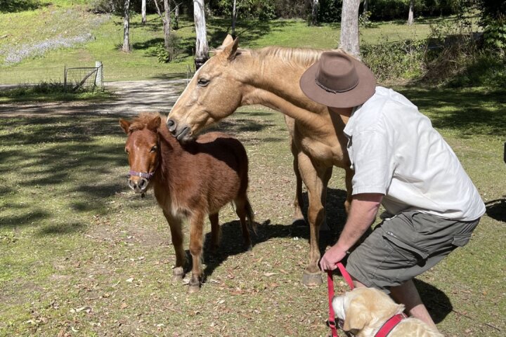 The friendly locals