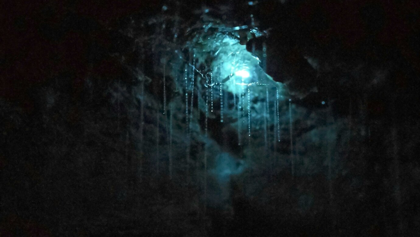 Glow Worm snare