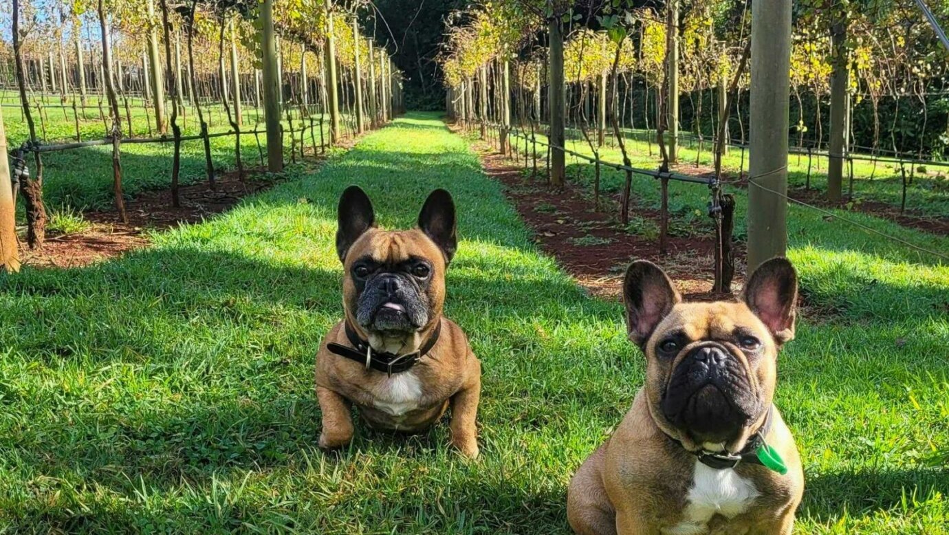 We're pet friendly!