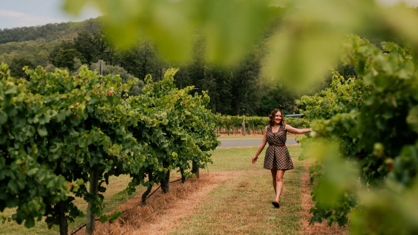 Walking between the vines at O'Reilly's Canungra Valley Vineyards