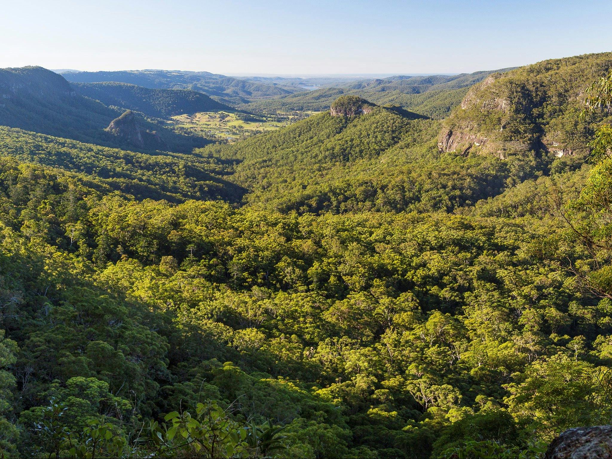 View down forested valley.
