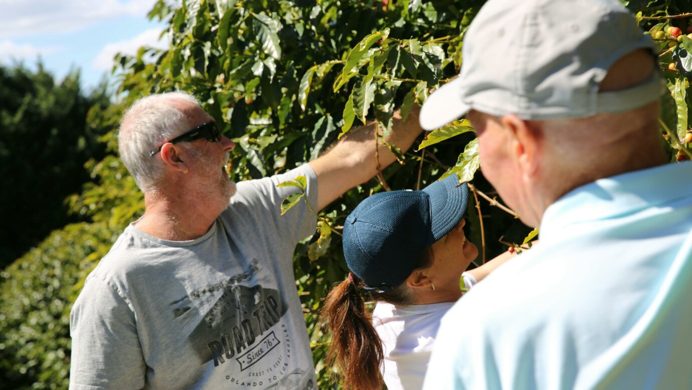 Pickers out picking themselves some coffee