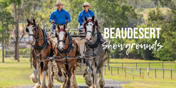 Scenic Rim Clydesdale Spectacular