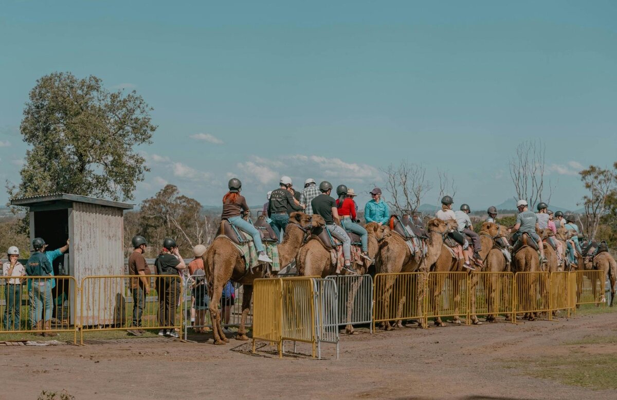 Summer Land Bush Festival