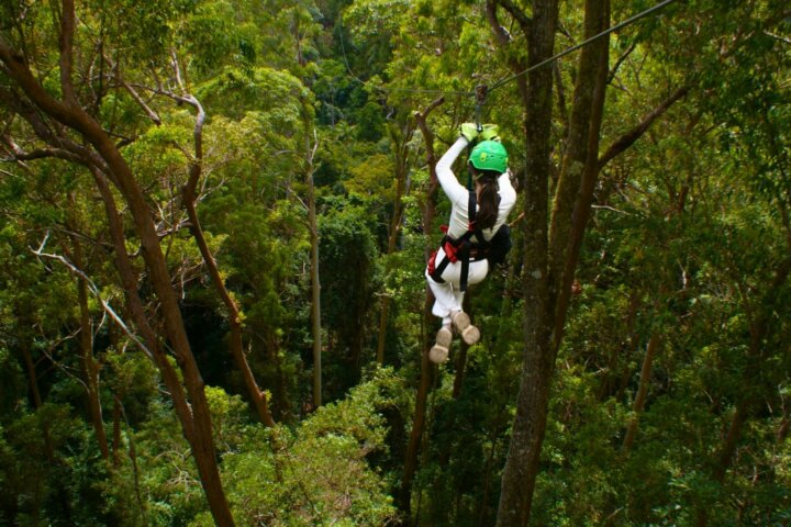Woman ziplining through the TreeTop Canopy at 70m above ground level!