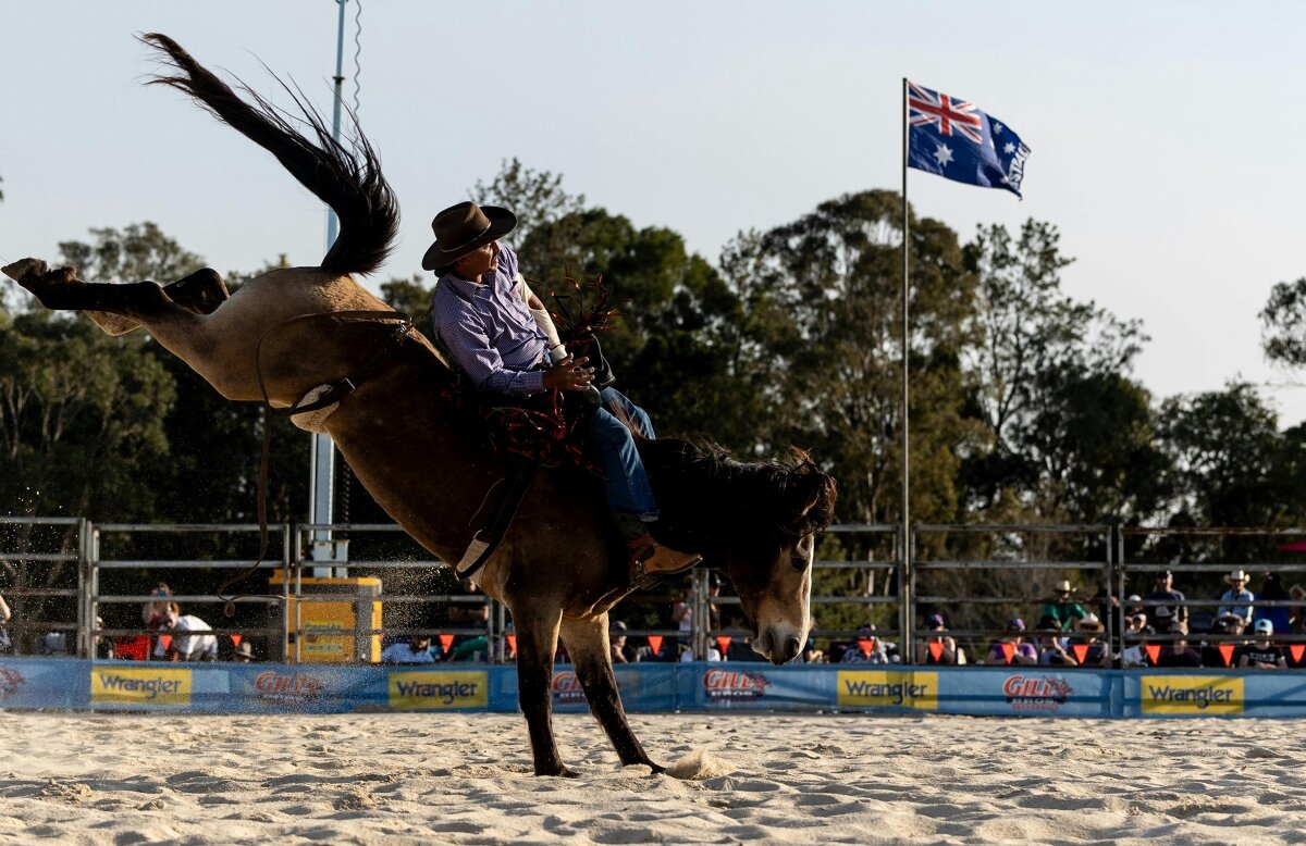 Tamborine Rodeo