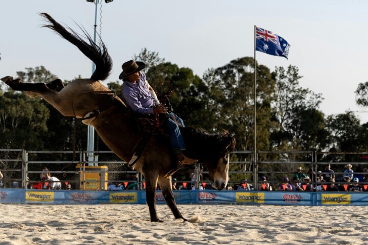 Tamborine Rodeo