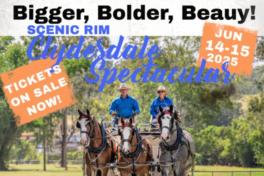 Clydesdale Spectacular 2025