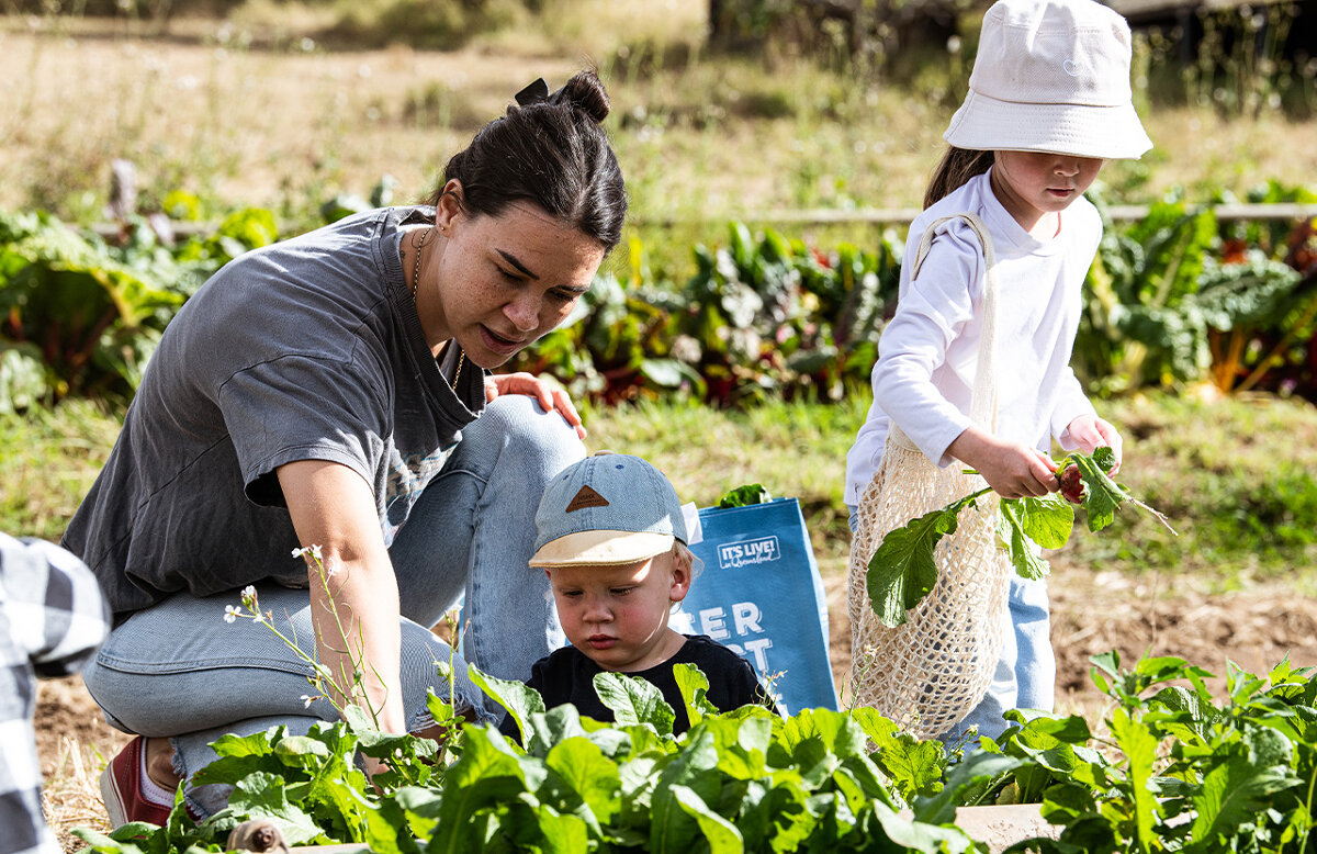 Veggie Picking with the Farmer