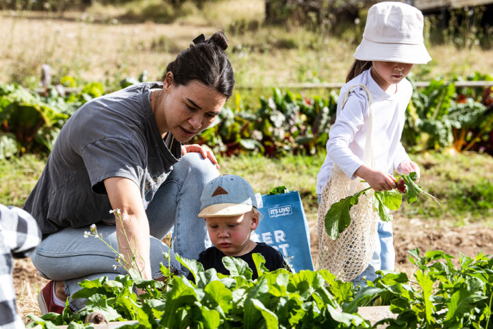 Veggie Picking with the Farmer