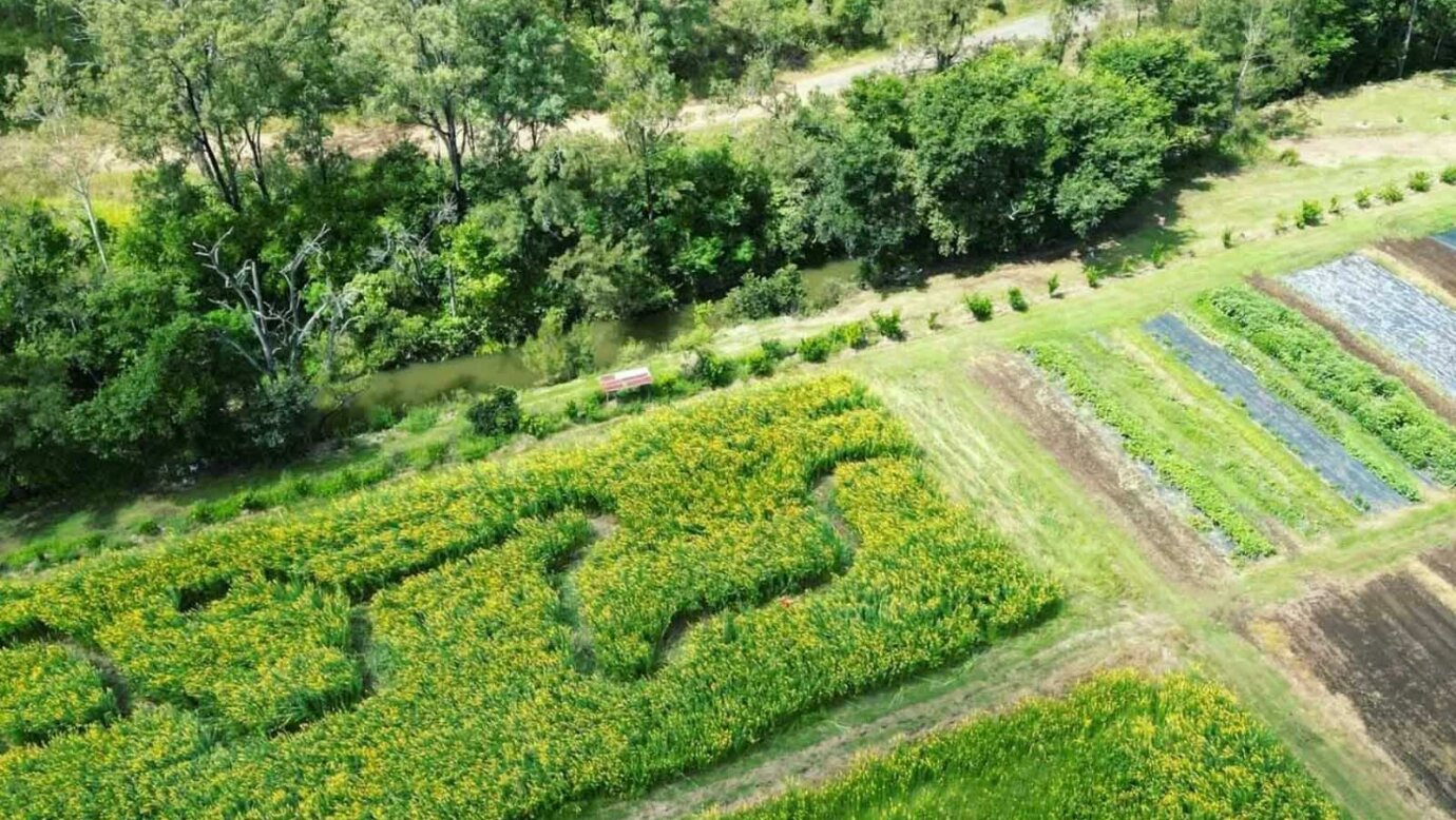 Garden Maze