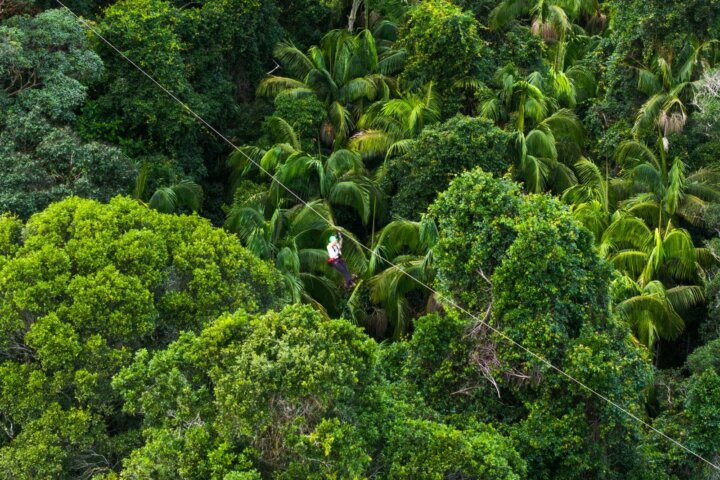 High adrenaline zipline through the stunning treetops