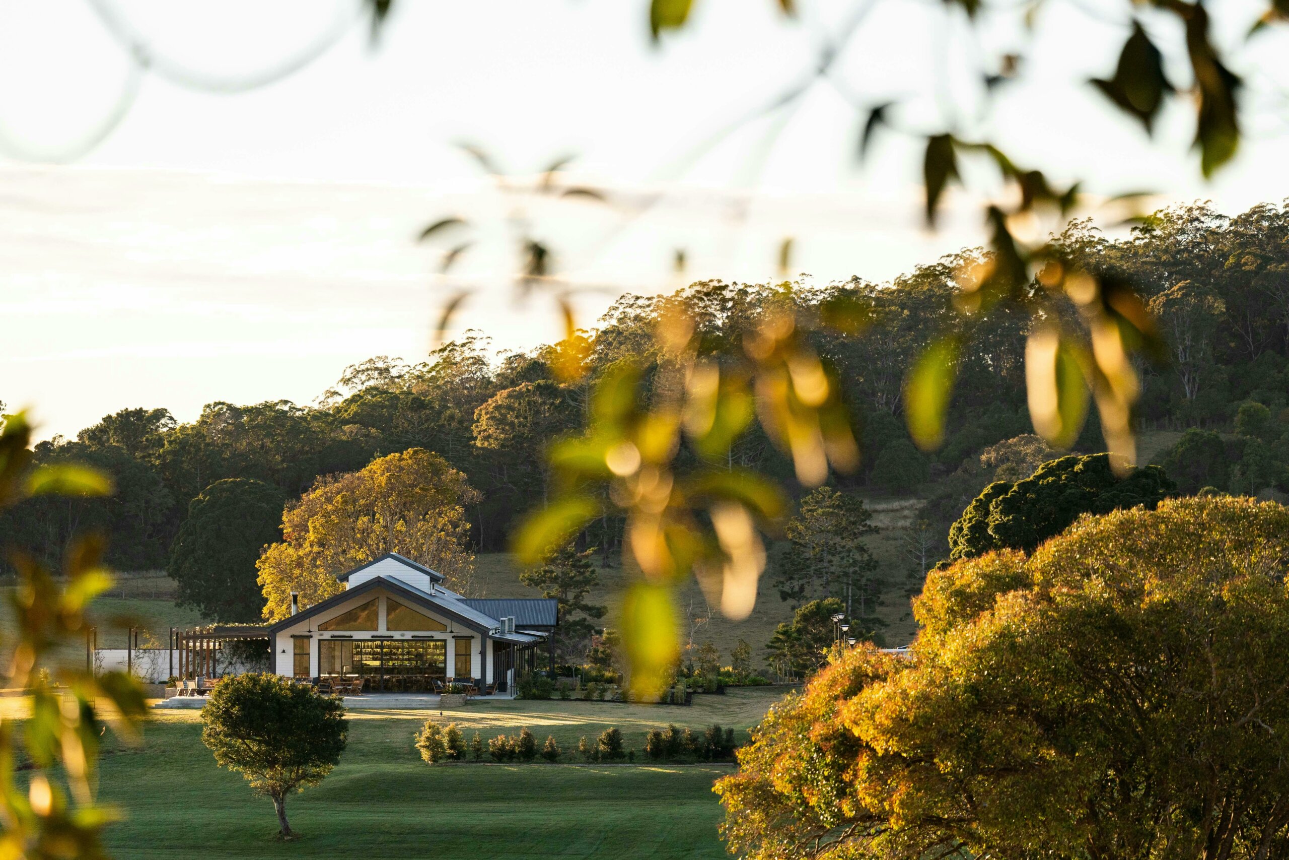 Beechmont Estate