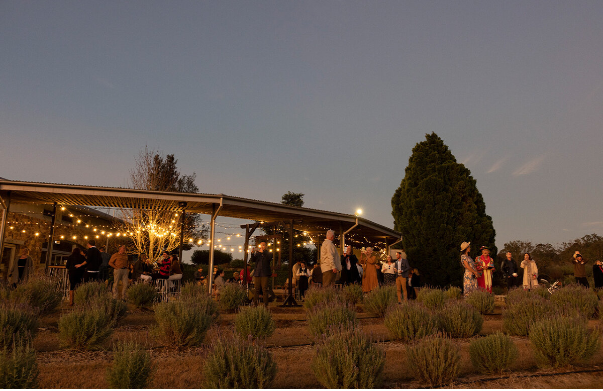 Winter Harvest Dinner
