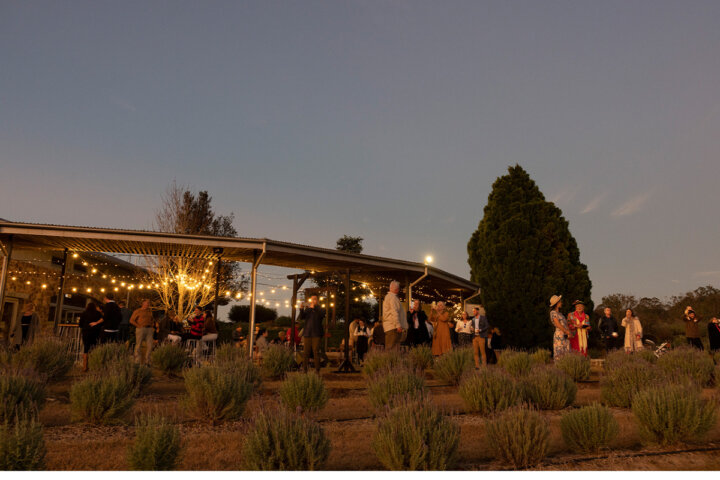 Winter Harvest Dinner
