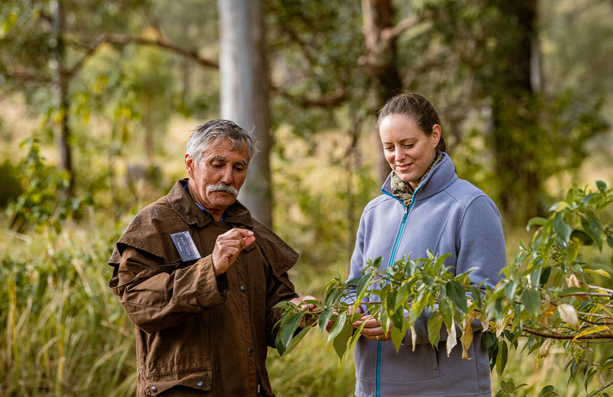 Native Rainforest Orchard Trek and Taste