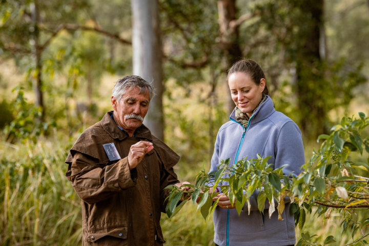 Native Rainforest Orchard Trek and Taste