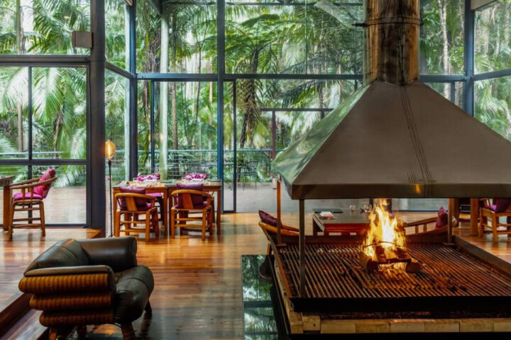 High Tea and Cocktails in the Rainforest