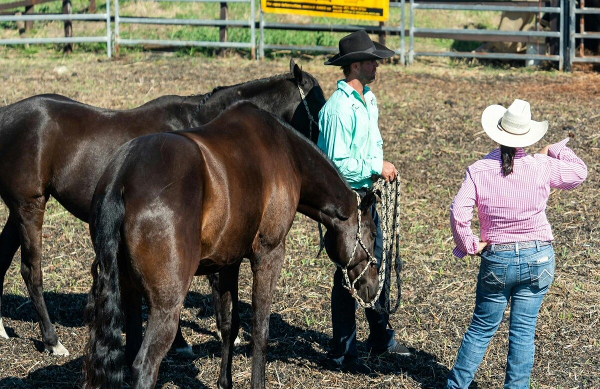 Scenic Rim Farming Expo