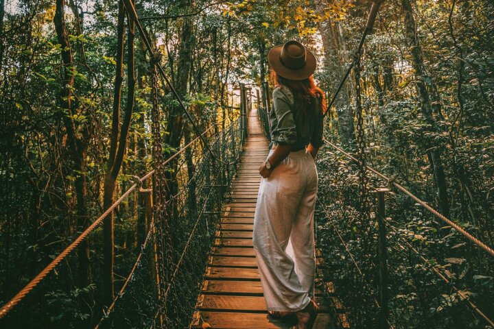 The iconic Tree Top Walk at O'Reilly's Rainforest Retreat