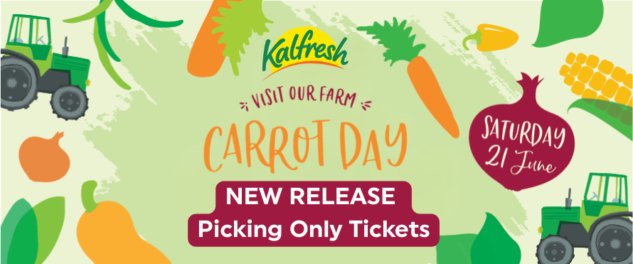 PICKING ONLY - Kalfresh Carrot Field Day - 21st June 2025