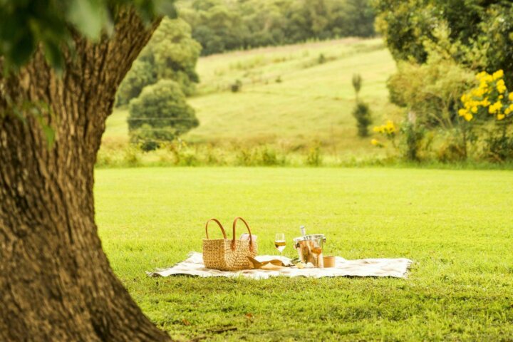 Picnic Hamper at Beechmont Estate