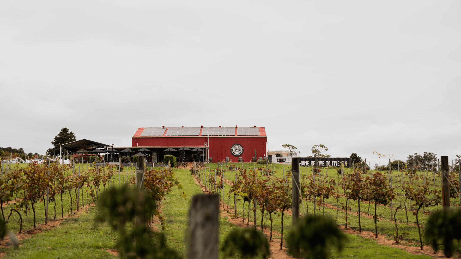 Cauldron Distillery building and vines