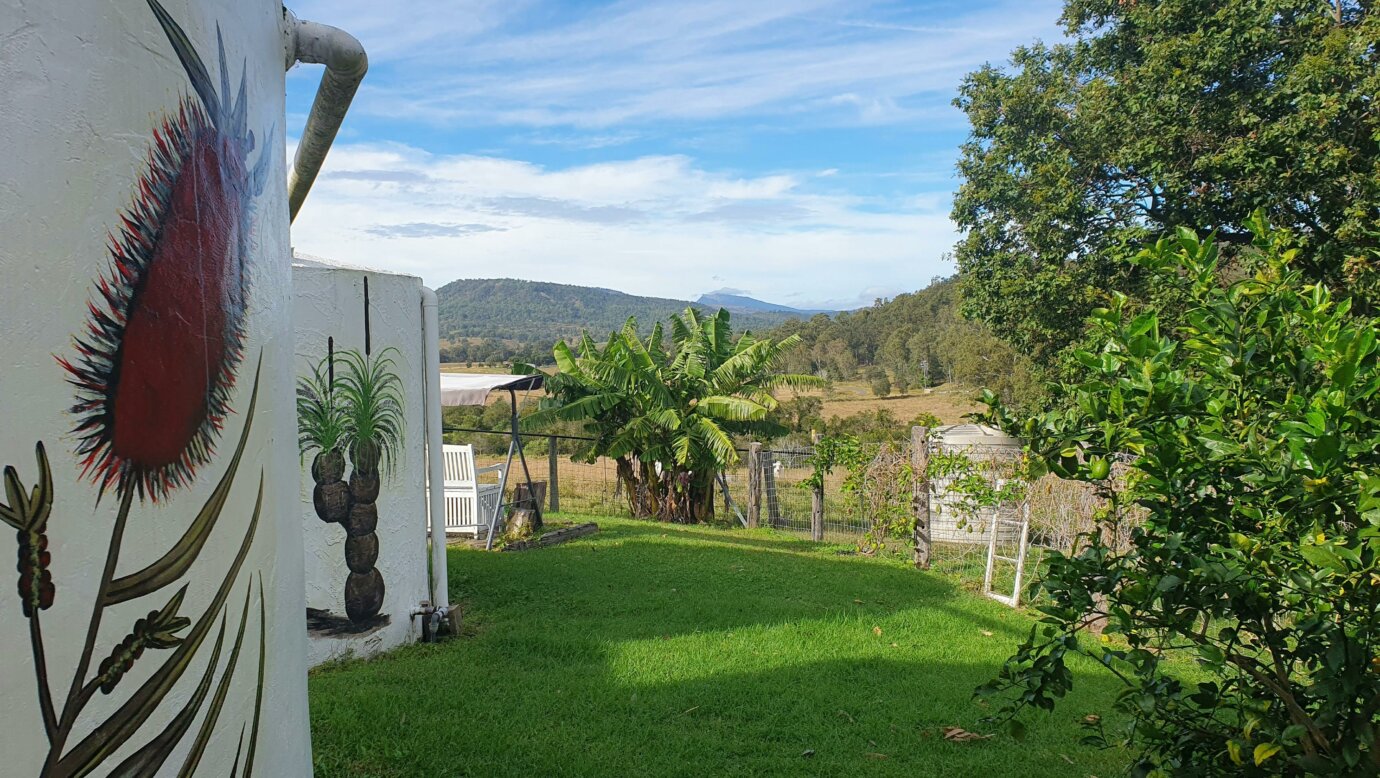 Garden view