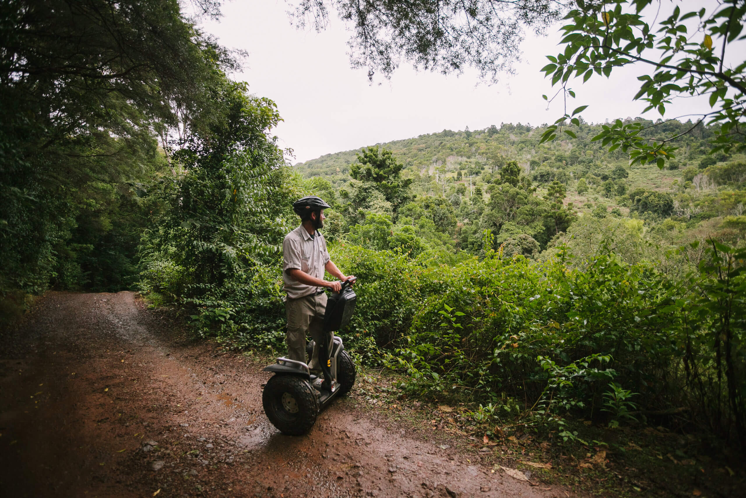 Solo Segway Safari at O'Reilly's Rainforest Retreat